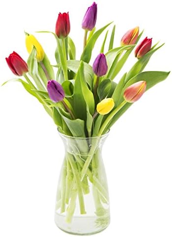 Blooms2DoorPRIME NEXT DAY DELIVERY - Bouquet of 10 Assorted Tulips with Vase Gift for Birthday, Sympathy, Anniversary, Get Well, Thank You, Valentine, Mother’s Day Flowers