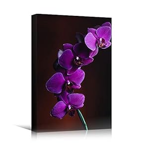 signwin Canvas Wall Art Purple Flower Portraiture Colorful...