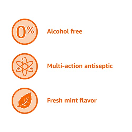AMAZON BASICS MULTI ACTION ANTISEPTIC RINSE, ALCOHOL FREE, FRESH MINT, 1 LITER, 33.8 FLUID OUNCES, 1-PACK (PREVIOUSLY SOLIMO)