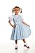 Kidcostumes Child's Dorothy Costume Dress for The Wizard of Oz, Large 10/12