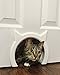 The Kitty Pass Interior Cat Door Hidden Litter Box Pet Door for cats up to 21 lbs primary