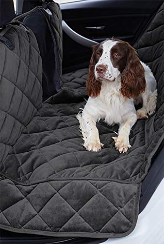 orvis windowed hammock