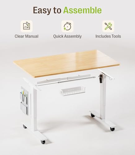 MAIDeSITe Height Adjustable Electric Lift Table, 120 x 60 cm Standing and Sitting Table with Cable Tray, Hook and Storage Pockets, Lift Table with Memory Controller