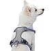 Blueberry Pet Soft & Comfy 3M Reflective Dog Harness Vest | Mesh Padded No Pull Dog Harness w/Back Clips | Multi-Colored Stripe - Violet and River Blue | Reflective Dog Harness for Medium Dogs