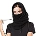 ApudArmis Windproof Ski Mask Balaclava Outdoor Sports Face Mask Neck Warmer - Unisex, One Size, Black