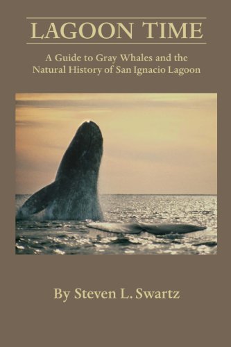 Lagoon Time: A Guide to Grey Whales and the Natural History of San Ignacio Lagoon