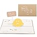 Paper Spiritz Sorry Pop up Cards Birthday, ,3D Anniversary Thank You Card,Pop-up Mother's Day Card, with Envelopes all Occasions