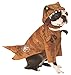 Rubies T. Rex Dinosaur Pet Costume, X-Large