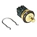 Delphi TS10279 Coolant Temperature Sensor