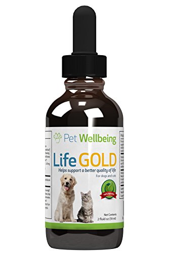Pet Wellbeing - Life Gold For Dogs and cats - Natural Cancer Support For Dogs and cats - 2 Ounce 59 Milliliter