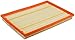 FRAM CA10675 Extra Guard Panel Air Filter