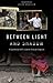 Between Light and Shadow: A Guatemalan Girl's Journey through Adoption by 