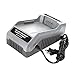 Snow Joe + Sun Joe CERTIFIED AUTHENTIC iCHRG40 EcoSharp Lithium-Ion Battery Charger, 40 Volt, Gray