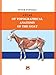 ATLAS OF TOPOGRAPHICAL ANATOMY OF THE GOAT (Atlas of Topographical Anatomy of Domestic Animals Book 6)