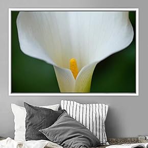 signwin Framed Canvas Wall Art Blooming Closeup Botanical...