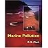 Marine Pollution What Everyone Needs To Know By Judith