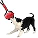Nerf Dog Infinity Tug Dog Toy, Lightweight, Durable and Water Resistant, 12 Inches, For Medium/Large Breeds, Single Unit, Red