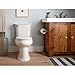 KOHLER 37054-Bn Alteo Pivoting Toilet Paper Holder, Brushed Nickel
