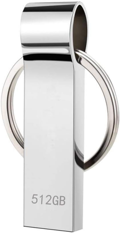 Dorypal 512GB USB Flash Drive Waterproof Metal Thumb Drive Memory Stick Pen Drive with Keychain