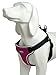 BINGPET No Pull Dog Harness Adjustable Soft Vest Reflective for Outdoor Walking, Pink Large