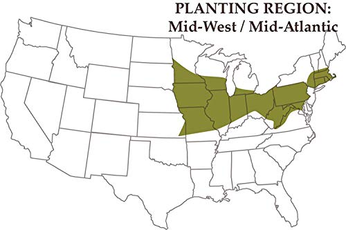 Nature's Seed Mid-West/Mid-Atlantic Poultry Pasture Blend, 500 sq. ft.