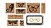 Cavallini Rubber Stamps Butterflies, Assorted with Ink Pad