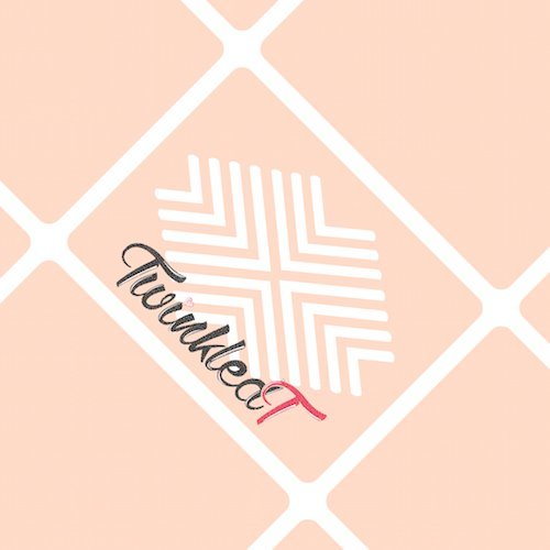 X Stencils Nail Vinyls by Twinkled T - 1 Sheet of 16 Stencils