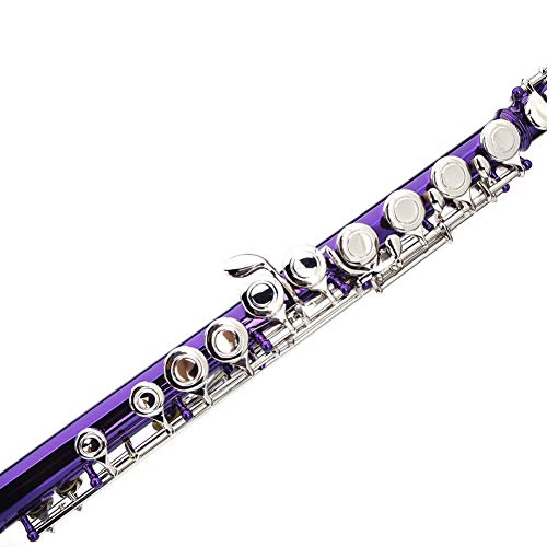 DREAMALVA Purple 16 Hole C Closed Hole White Copper Flute + Pass Rod + Cleaning Cloth + Lubricant + Screwdriver