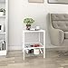 Lifewit Small Bed Side Table Nightstand with Metallic Storage Basket, Livingroom Side Table End Table, Sturdy and Easy Assembly, White, 15.7 × 15.7 × 20 inches