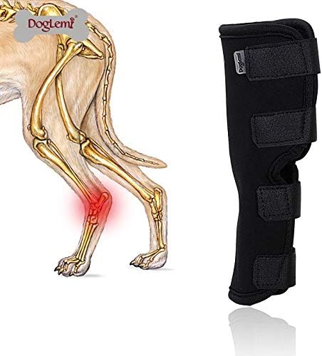 HORHIN Dog Leg Knee Brace Hock Joint, Adjustable Dog Protector Rear or Front Leg Knee Injuries Support Wrap Strap Help Wound Healing Loss Stability