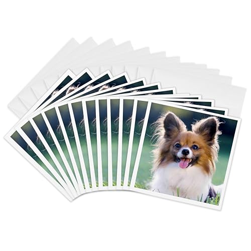 Papillion (my dog) - Greeting Cards, 6 x 6 inches, set of 12 (gc_201539_2)