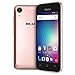 BLU Advance 4.0 L3 -Unlocked Dual Sim Smartphone -Rose Gold