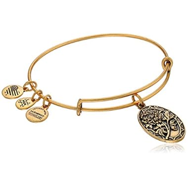 Alex and Ani Because I love you, Mom II Expandable Rafaelian Bracelet