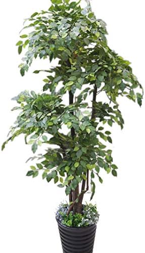 Maiaro Artificial 6Ft Ficus Tree - Real Wood Stems And Lifelike Leaves Replica Artificial Plant (With Pot) [Energy Class A]