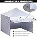 ABCCANOPY Ez Pop up Canopy Tent with Awning and Sidewalls 10x10 Market -Series, Pink