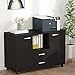 Tribesigns 2 Drawer File Cabinets, Mobile Lateral Filing Cabinets Printer Stand on Wheels, Office Cabinet with 2 Doors Storage Cabinet