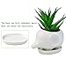 Animals Ceramic Flower Pot, Bantoye 2 Styles Elephants Succulent Planter Pots Cute White Animal Decor for Cactus & Succulent Plant