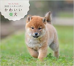 22年 カレンダー かわいい柴犬 100名様に1 000円分の図書カードをプレゼント 誠文堂新光社カレンダー 井川 俊彦 本 通販 Amazon