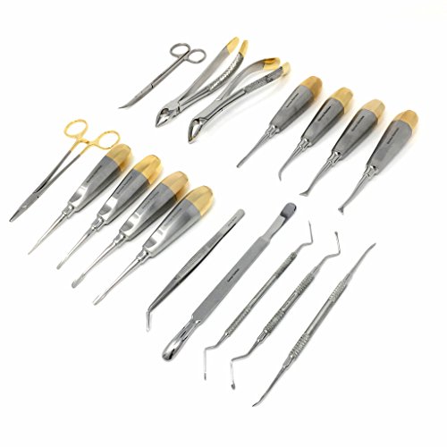 NEW GENUINE PREMIUM GERMAN SET OF 17 EACH ORAL DENTAL SURGERY