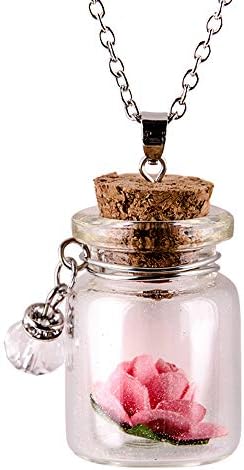 Glow in The Dark Flower Glass Tiny Wishing Bottle Vial Necklace Pendant Mitiy Chain Necklaces Romantic Gift