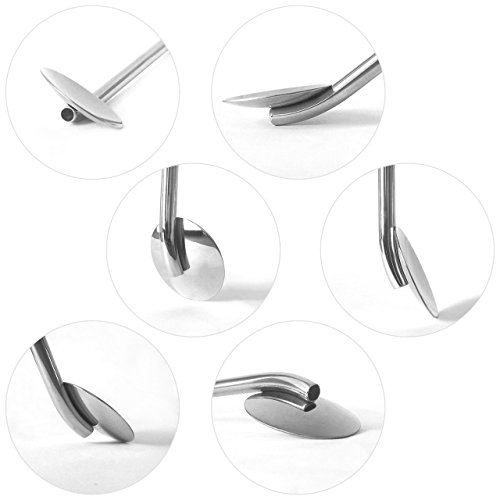 GFDesign 10.5" Extra Long Spoon Straws Stirrer SUS 304 Food-Grade 18/8 Stainless Steel Reusable and Durable - Set of 4 with 2 Cleaning Brushes