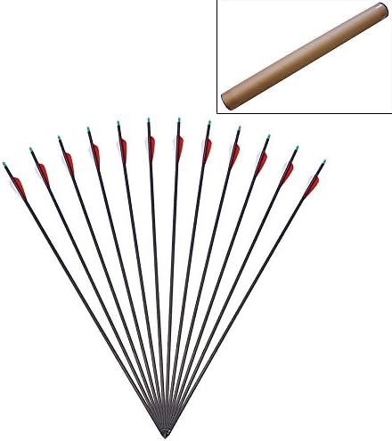 Jreameast 12pcs 30" Spine 300 Carbon Arrow with Tips ID 6.2mm OD 7.6mm for Recurve Compound Bow