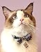 Necoichi Kabuki Charm Bow Tie Cat Collar (Navy)