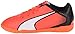 PUMA Adreno Indoor Jr Soccer Shoe