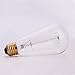 Edison Bulbs 60W Vintage Style Squirrel Cage Filament Incandescent Bulb E26 Base ST64 120V for Home Lighting Fixtures Lamp Lightbulbs Warm Light Dim 2700K 6PACK