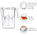 BWT Vida Water Filter Pitcher With 3 Bonus 60 Day Filters, Technology For Filtration & Taste