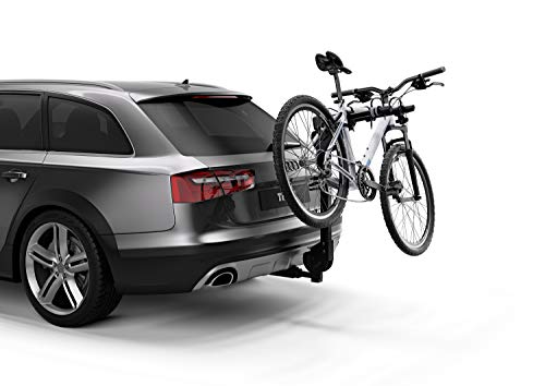 1 Carpenter+New+York+Vinyl+Lion