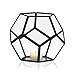 KIBAGA Geometric Terrarium - Modern Indoor Plant Terrarium with 2x Free Tealight Candles - Elegant DIY Glass Terrarium Home for Succulents and other Plants