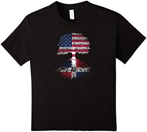 Kids American Citizen with Dominican Republic Roots T-Shirt 12 Black