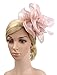 Urban CoCo Women's Vintage Flower Feather Mesh Net Fascinator Hair Clip Hat Party Wedding (Nude Pink-Series 4)